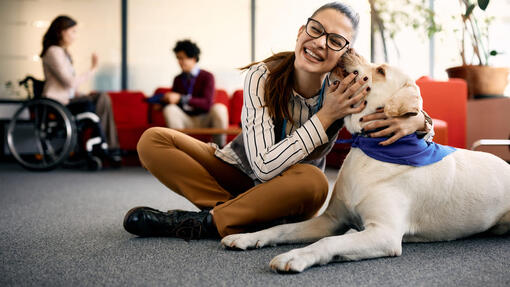 What does a hot sale therapy dog do